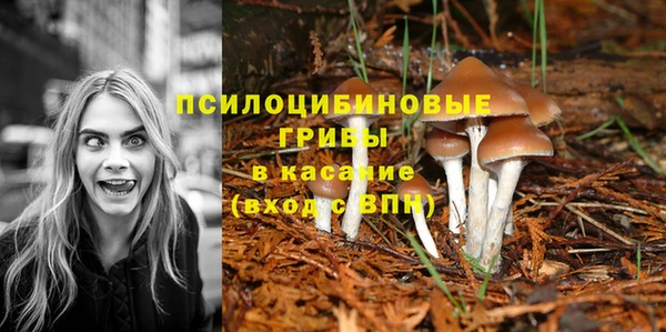 apvp Белоозёрский