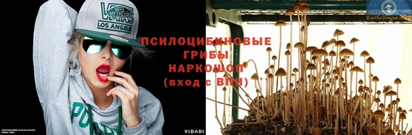 метамфетамин Белокуриха