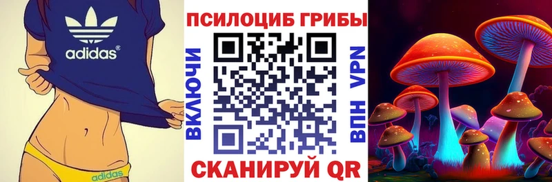 наркота  Куса  Галлюциногенные грибы мухоморы 
